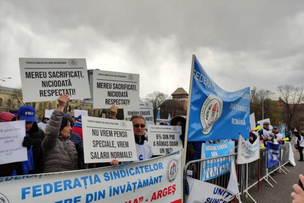 profesorii si studentii pregatiti pentru greva generala referendum national dupa mitingul din 29 octombrie 69011b1b106b7