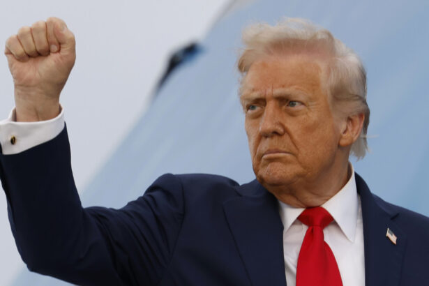 proiectul grandios planuit de trump la washington presedintele sua inspirat de imparatul napoleon bonaparte 68e96c8d861d3