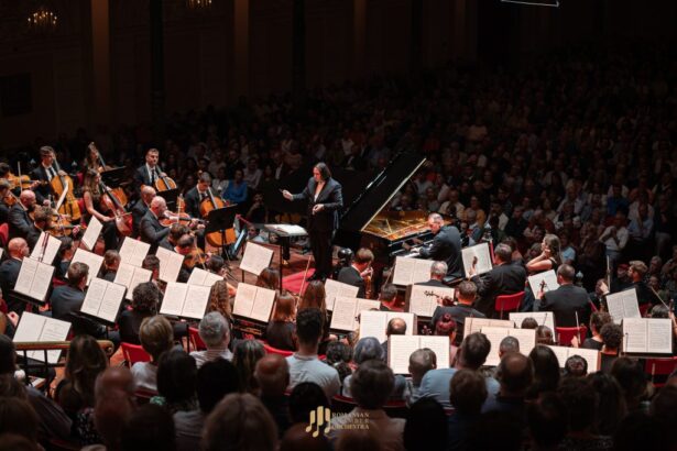 promovarea culturii romane in strainatate din fondul de rezerva al tarii 69041efadc9f1