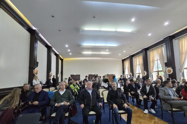 psd s a abtinut de la votul pentru contractarea unor servicii de avocatura pentru cjc reactia lui mitroi mai aveau sa inceapa circ in consiliul judetean ca in partid il au 68ff6e080d928