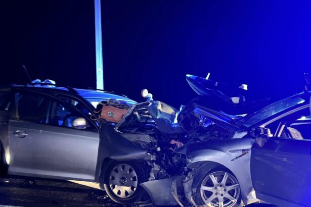 si tu poti sprijini familia implicata in accidentul de pe dn 22 trei copii alaturi de parintii lor sunt in spital 68e01b099f83d