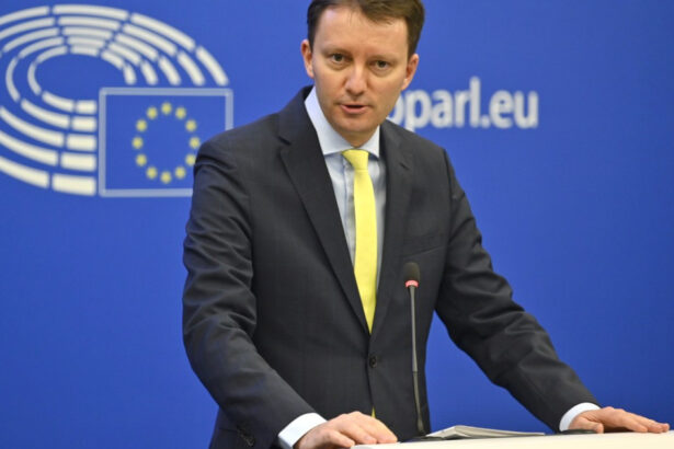 siegfried muresan la protestul fermierilor din fata parlamentului european vom apara fondurile pentru agricultura in fata taierilor 68f77928097e8