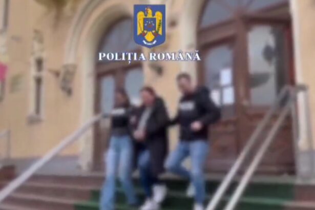 tepara soferita cu numere contrafacute si victima a unei batai viata plina de aventuri a femeii care a vandut polite rca false in constanta 68e834fff3199