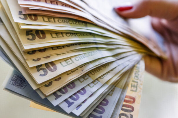 tichetele de masa vor fi majorate dar cresterea salariului minim se amana cand va lua guvernul o decizie 6901fe5a91a0d