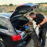 un sofer din corbu prins beat crita la volan iata ce probleme au mai gasit politistii in ciobanu si navodari 68e3a611abc71
