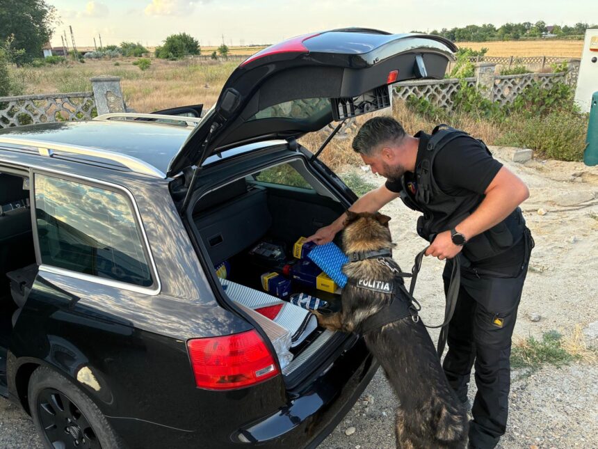 un sofer din corbu prins beat crita la volan iata ce probleme au mai gasit politistii in ciobanu si navodari 68e3a611abc71