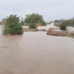 video atentie soferi comuna silistea este izolata dn2a este partial inchis ce rute ocolitoare aveti la dispozitie 68e61ee555fc4