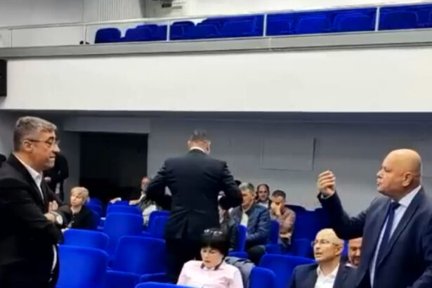 video cearta intre doi lideri psd pnl din braila zat sa i spui lui ma ta mai porcule ce eu sunt pisica mi a spus sa mi iau pastilele 68dd098b41919