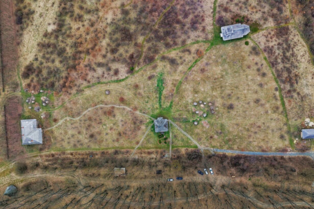 video codrii vlasiei protejati prea tarziu padurea uriasa a ajuns un petic de verdeata zona va fi parte din centura verde a capitalei 6900b70dd683b