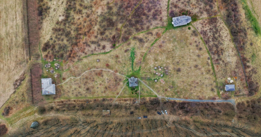 Codrii Vlăsiei, protejați prea târziu: pădurea uriașă a ajuns un petic de verdeață. Zona va fi parte din Centura Verde a Capitalei. 1 video codrii vlasiei protejati prea tarziu padurea uriasa a ajuns un petic de verdeata zona va fi parte din centura verde a capitalei 6900b70dd683b