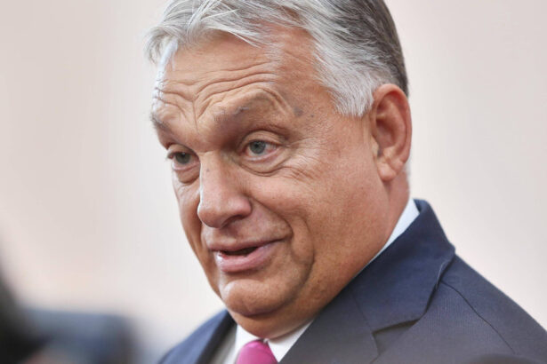 video cum cumpara influenta in romania premierul ungar viktor orban 18 milioane de euro pentru companii din transilvania snoop 68f8ff4a3be03