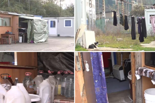 video drama oamenilor din aninoasa mutati in containere si uitati acolo cum arata viata in 20 de mp edil viata te incearca in tot felul 6900511f26e46