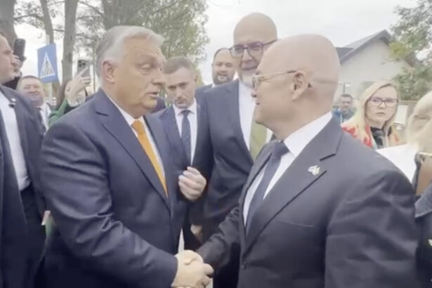 video emil boc a dat din coate sa ajunga la viktor orban dupa congresul udmr simtiti va liber sa veniti oricand la usa mea 68ea18e5d28ba