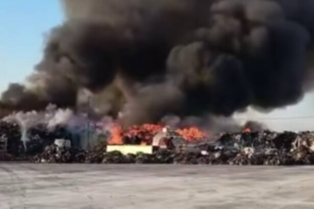 video incendiul din judetul prahova departe de a fi stins flacarile se manifesta pe o suprafata de peste 3 000 de metri patrati 68fb435a32973