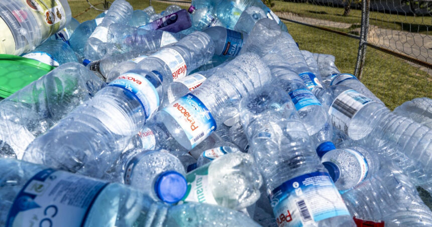 video microplasticele ajung in creier arata un studiu acumulam pana la 5 grame din particulele care provoaca boli grave 68f313abd027a