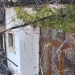 video momentul in care vantul puternic doboara un copac peste o casa in bucuresti 68dfda29d062b