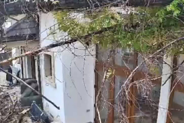 video momentul in care vantul puternic doboara un copac peste o casa in bucuresti 68dfda29d062b