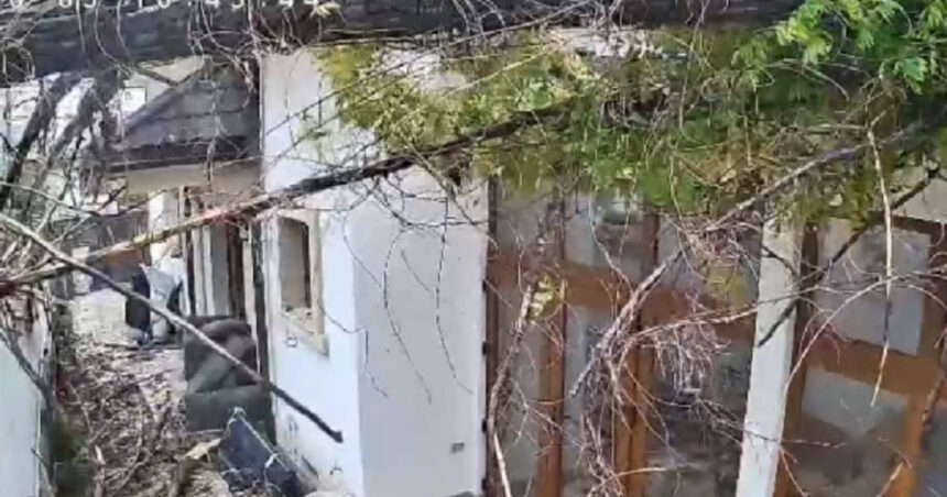 video momentul in care vantul puternic doboara un copac peste o casa in bucuresti 68dfda29d062b