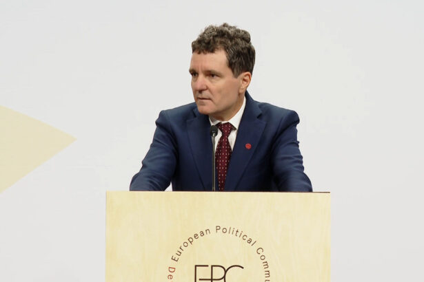 video nicusor dan despre raportul facut de parchet privind anularea alegerilor liderii europeni mi l au cerut sa l citeasca in avion 68de9a460583a