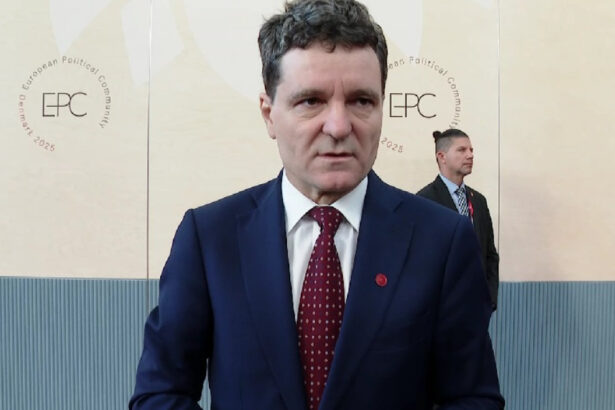 video nicusor dan explica liderilor ue cum a influentat rusia alegerile o sa vorbesc despre incercarile gruparii potra de destabilizare 68de46161f0d6