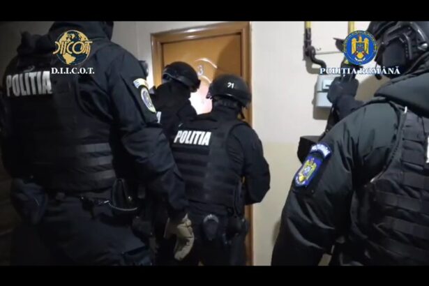 video ofiterii antimafia din constanta au pus umarul la demascarea unei veritabile fabrici de falsificare a documentelor oficiale detalii 68ea83e182ad3