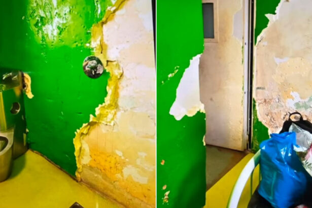 video pereti decojiti si conditii precare in sectia de psihiatrie din drobeta turnu severin reactia spitalului 68e3c0eccaee0