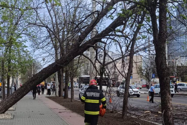 video pompierii de la isu bucuresti ilfov au avut 36 de interventii in urma vantului puternic 23 de masini au fost avariate 68df6d6db2c0f