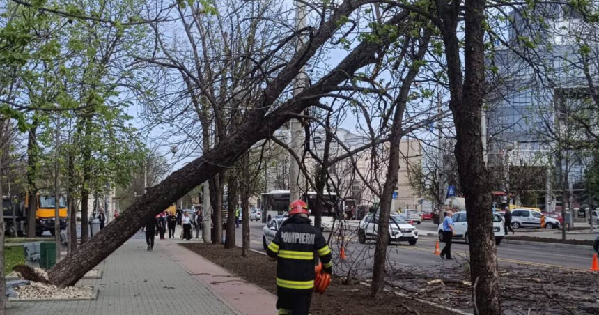 video pompierii de la isu bucuresti ilfov au avut 36 de interventii in urma vantului puternic 23 de masini au fost avariate 68df6d6db2c0f