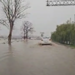 video se circula greu pe dn 22 la iesire din tariverde apa a inundat soseaua 68e614d3ecf6a