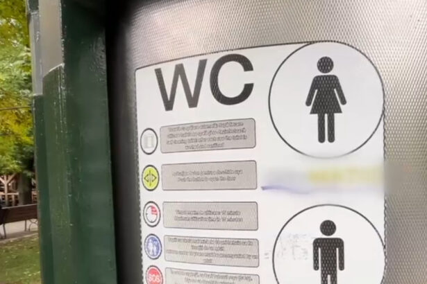 video te apuca disperarea bucurestiul nu are suficiente toalete publice sunt doar 424 la peste doua milioane de locuitori 68e8b5bdb3de7