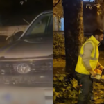video un copac a cazut peste o masina aflata pe aleea timonei din constanta 68e568118dc3b