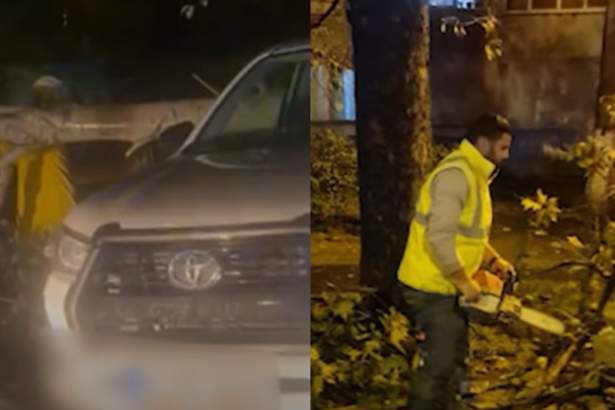 video un copac a cazut peste o masina aflata pe aleea timonei din constanta 68e568118dc3b