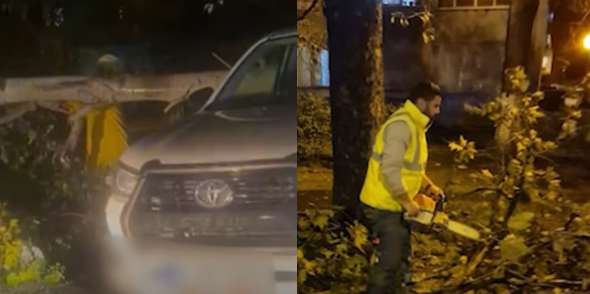 video un copac a cazut peste o masina aflata pe aleea timonei din constanta 68e568118dc3b