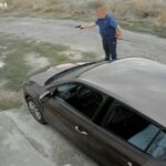 video update a fost amendat individul care a tras cu un pistol cu bile intr un caine in palazu mare dus la audieri 68dd03c4607c8
