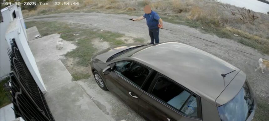 video update a fost amendat individul care a tras cu un pistol cu bile intr un caine in palazu mare dus la audieri 68dd03c4607c8