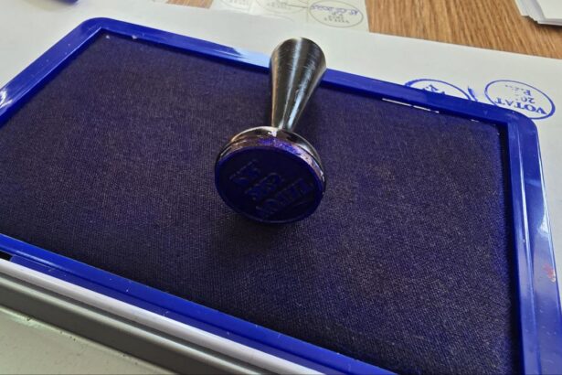 a inceput campania electorala pentru alegerile locale partiale din 7 decembrie locuitorii din lumina si dobromir isi aleg si ei primarul 692160d534574