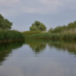 accident in delta dunarii doua ambarcatiuni de agrement s au ciocnit un tanar a fost ranit 6924417c624d2