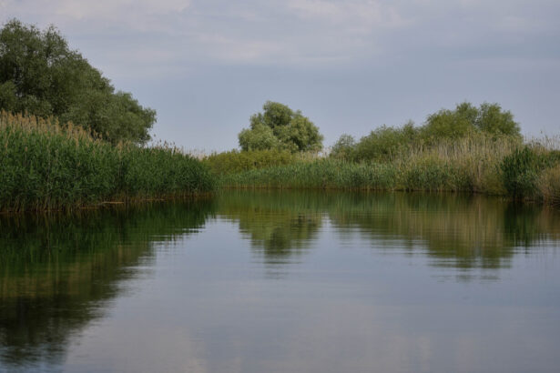 accident in delta dunarii doua ambarcatiuni de agrement s au ciocnit un tanar a fost ranit 6924417c624d2