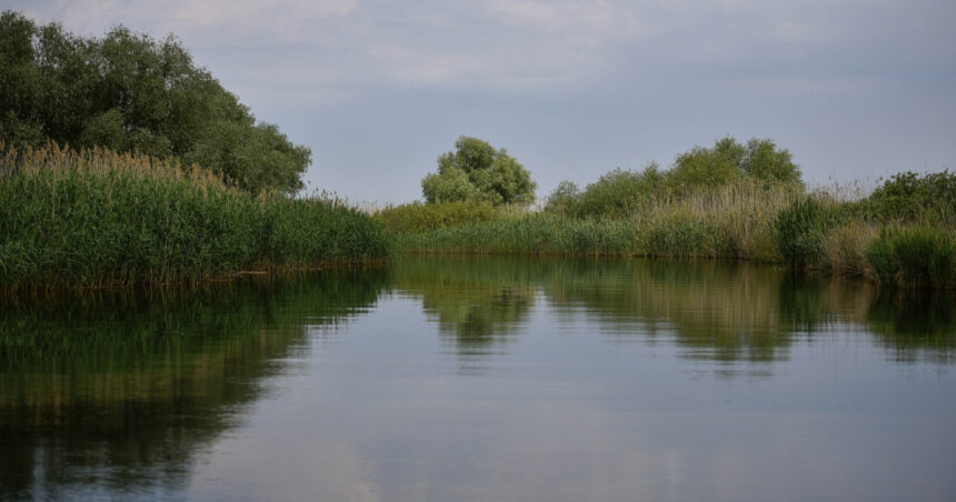 accident in delta dunarii doua ambarcatiuni de agrement s au ciocnit un tanar a fost ranit 6924417c624d2