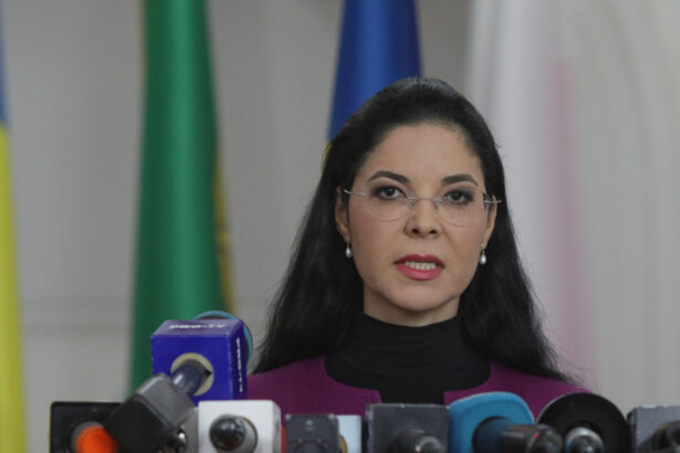 ana birchall dupa plangerea penala a csm impotriva vicepremierului oana gheorghiu poate depune plangere pentru inducere in eroare 691263ab1ea82