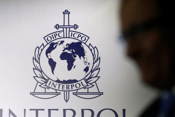 au reinceput escrocheriile in numele interpolului mai multi constanteni au primit e mailuri ca sunt cercetati ce spun autoritatile 6916609f5fe9e