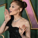 barbatul care a bruscat o pe ariana grande la premiera filmului wicked for good condamnat la inchisoare in singapore 691b85382c260