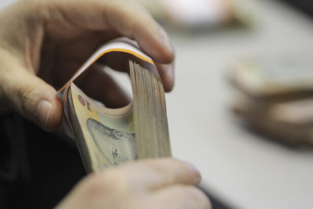 blocul national sindical va sesiza comisia europeana daca guvernul va decide inghetarea salariului minim 691344aea622e