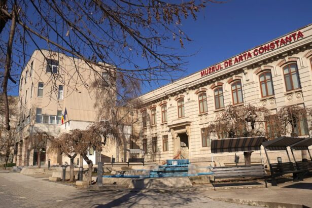 calatoria expozitie de pictura mirela dimcea la muzeul de arta constanta 6911a9a080948