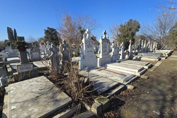 cat mai costa un loc de veci in constanta in 2025 in cele sase cimitire administrate de primaria constantaa 6929383f542a8