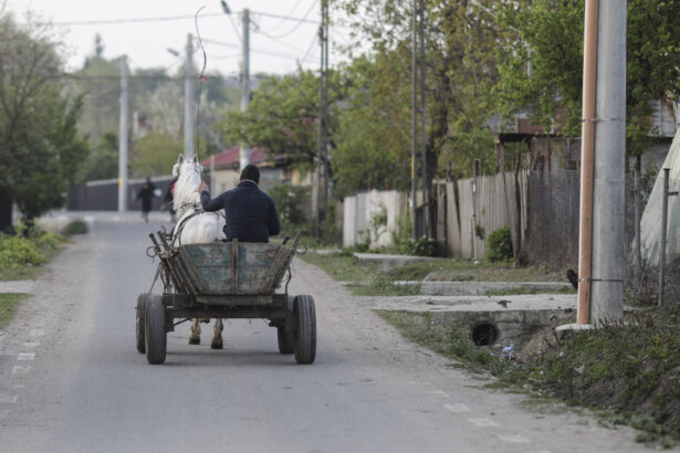 ce a descoperit curtea de conturi la primariile din tara salarii sporuri si prime fara baza legala cheltuieli nejustificate document 6914a4b2e60f1