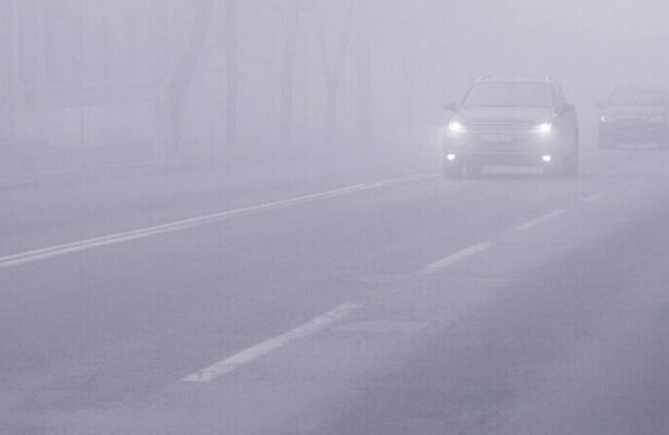 ceata densa in dobrogea meteorologii au emis cod galben 6915b48639112