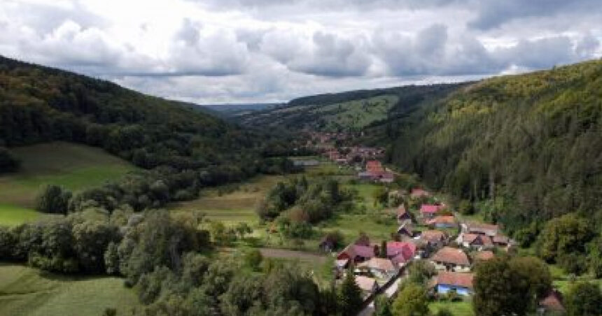 cum au ajuns primarii mici din tara sa aiba datorii de milioane la stat la rectificare ne dadeau bani s a marit pretul gunoiului 6912c61ad862e