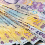 directia silvica arad pierderi de 12 milioane de lei doar in primele sase luni ale lui 2025 ministerul mediului sesizeaza procurorii 69289f862e87c