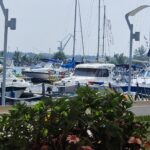 document doua terenuri trec din domeniul public in cel privat la mangalia firma tonomat star vizata in dosarul de coruptie al primarului suspendat radu cristian principalul beneficiar 69278eb1d6116